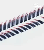 مژه ریسه ای رنگی (آمبره) fox - Image 6