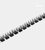 مژه ریسه‌ای فیشر Fisher